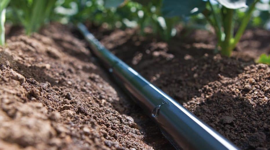 PP PE plastic washing recycling line